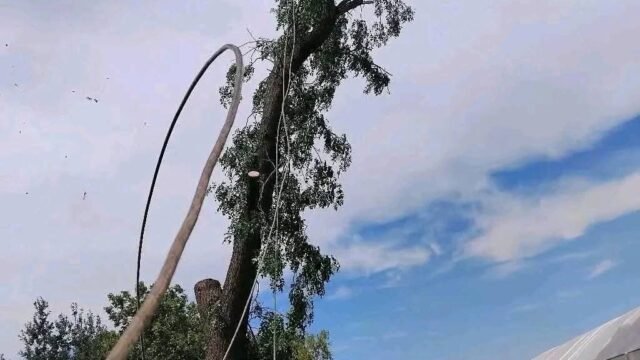 WhatsApp Image 2026-10-06 at 2.51.09 PM (1)