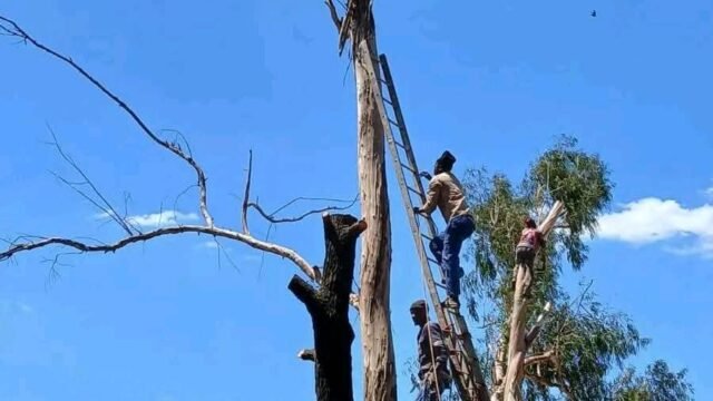 WhatsApp Image 2026-10-06 at 2.51.10 PM