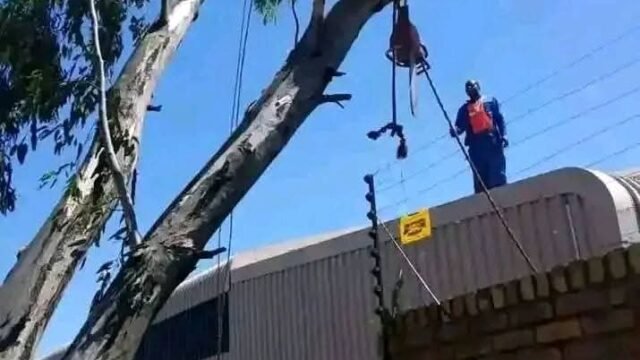 WhatsApp Image 2026-10-06 at 2.51.11 PM (1)