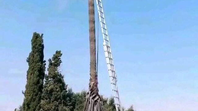 WhatsApp Image 2026-10-06 at 2.51.11 PM