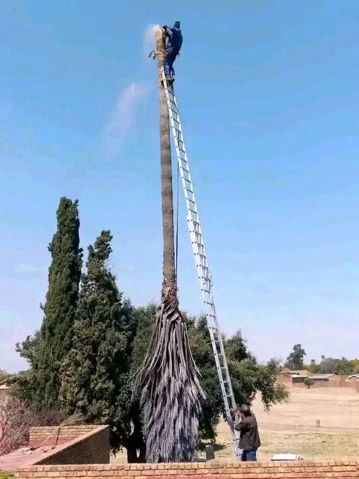 WhatsApp Image 2026-10-06 at 2.51.11 PM
