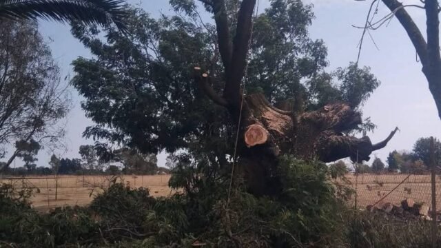 WhatsApp Image 2026-10-06 at 2.51.12 PM (2)