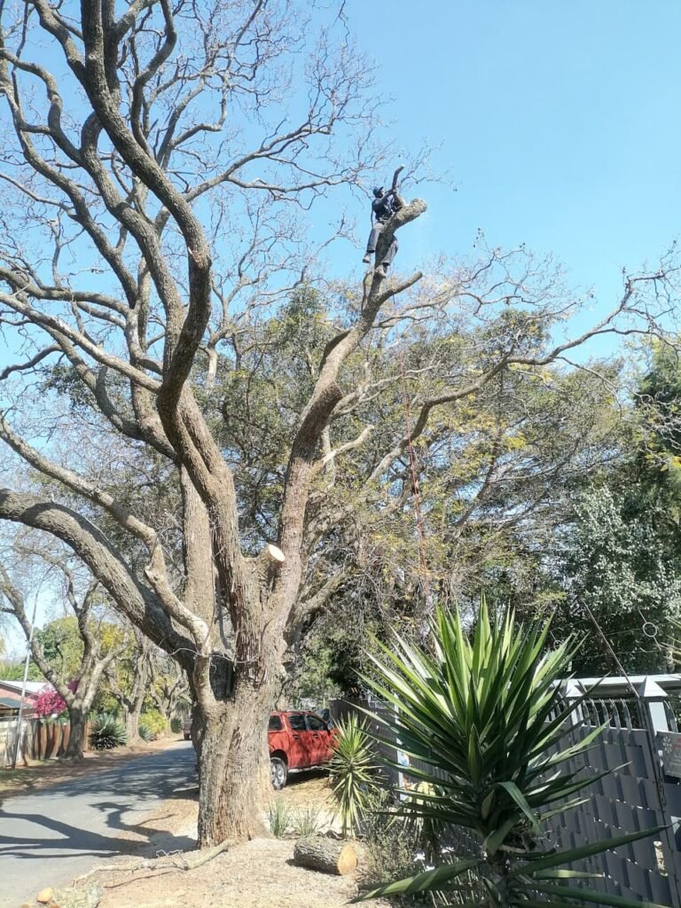 WhatsApp Image 2026-10-06 at 2.51.18 PM (1)