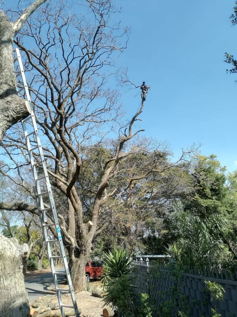 WhatsApp Image 2026-10-06 at 2.51.18 PM