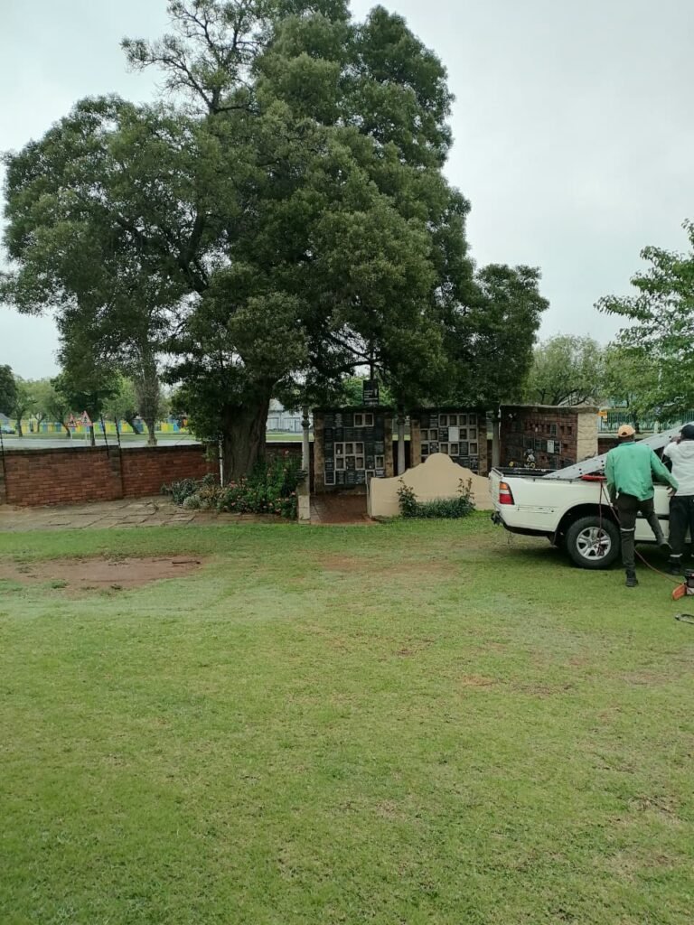 WhatsApp Image 2026-10-06 at 2.51.19 PM